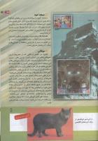 مجله کودک 161 صفحه 39