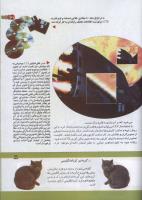 مجله کودک 161 صفحه 37