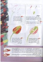 مجله کودک 163 صفحه 33