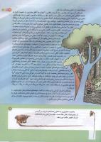 مجله کودک 174 صفحه 9