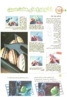 مجله کودک 177 صفحه 14