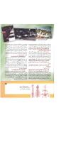 مجله کودک 178 صفحه 11