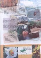 مجله کودک 178 صفحه 33