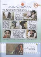 مجله کودک 179 صفحه 10