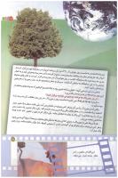 مجله کودک 180 صفحه 17