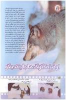 مجله کودک 180 صفحه 30