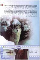 مجله کودک 180 صفحه 31