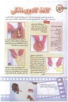 مجله کودک 180 صفحه 32