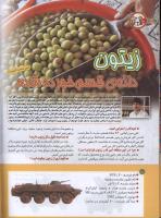 مجله کودک 185 صفحه 10