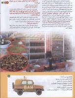 مجله کودک 185 صفحه 11