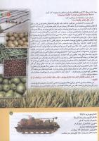 مجله کودک 186 صفحه 11