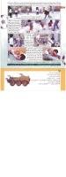 مجله کودک 187 صفحه 12