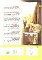 مجله کودک 188 صفحه 12