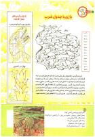 مجله کودک 188 صفحه 38