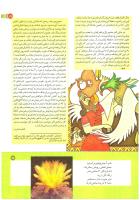 مجله کودک 188 صفحه 19