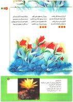 مجله کودک 189 صفحه 7