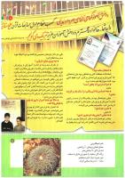 مجله کودک 189 صفحه 11