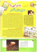 مجله کودک 189 صفحه 10