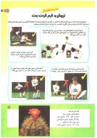 مجله کودک 189 صفحه 27