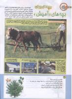 مجله کودک 190 صفحه 34