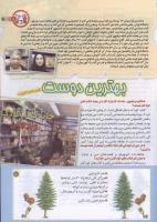 مجله کودک 190 صفحه 11