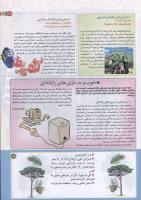 مجله کودک 190 صفحه 19