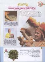مجله کودک 191 صفحه 34