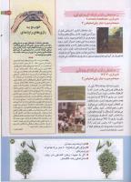 مجله کودک 191 صفحه 29