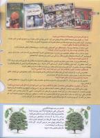 مجله کودک 191 صفحه 12