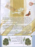 مجله کودک 191 صفحه 8