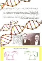 مجله کودک 193 صفحه 17