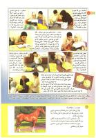 مجله کودک 194 صفحه 10