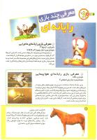 مجله کودک 194 صفحه 12