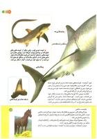 مجله کودک 194 صفحه 17