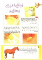 مجله کودک 194 صفحه 32