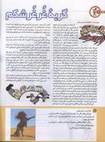 مجله کودک 195 صفحه 8