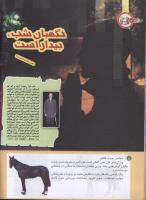 مجله کودک 195 صفحه 10
