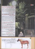مجله کودک 195 صفحه 12