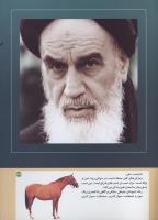 مجله کودک 195 صفحه 43