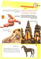 مجله کودک 196 صفحه 14