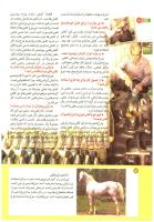 مجله کودک 196 صفحه 12