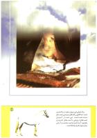 مجله کودک 196 صفحه 43