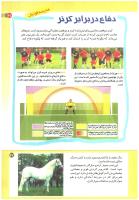 مجله کودک 196 صفحه 27