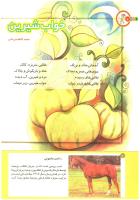 مجله کودک 196 صفحه 6