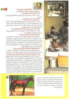 مجله کودک 196 صفحه 11