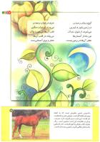 مجله کودک 196 صفحه 7