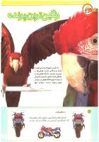 مجله کودک 197 صفحه 16