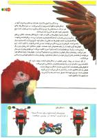 مجله کودک 197 صفحه 17
