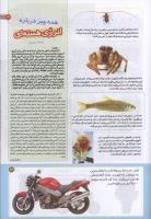 مجله کودک 198 صفحه 31