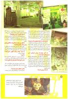 مجله کودک 201 صفحه 12